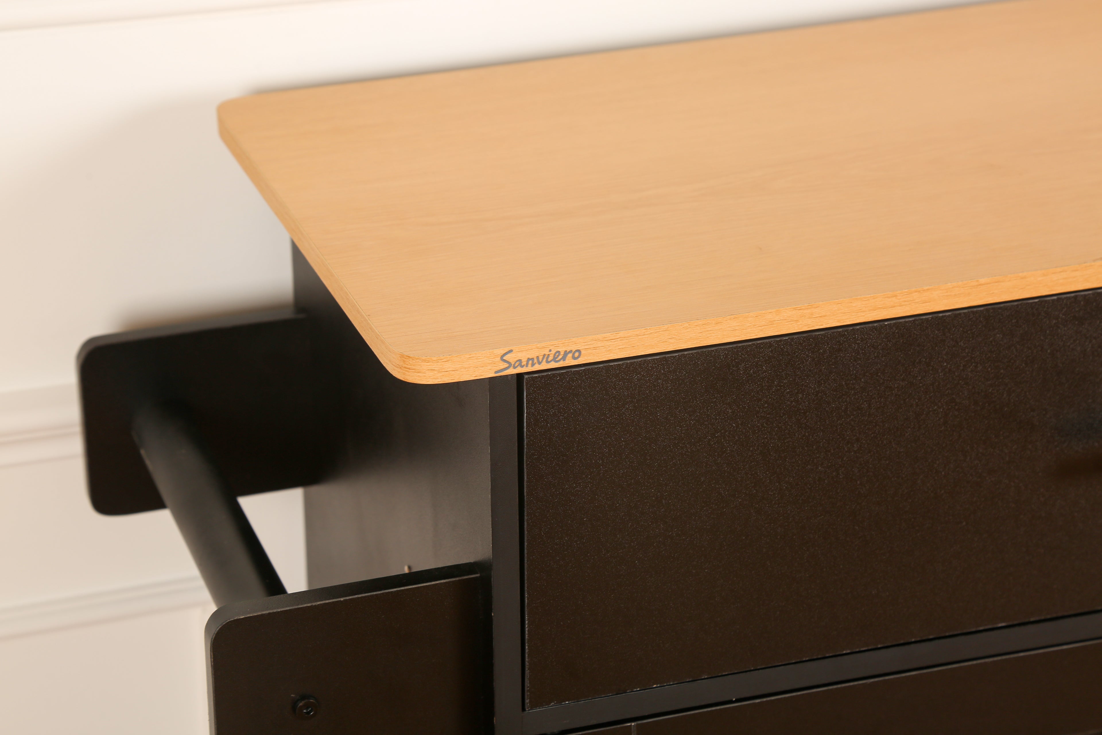 Sanviero Black Rolling Storage Cabinet with Drawer and Cabinet Doors
